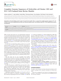 Complete Genome Sequences of Escherichia coli Strains 1303 and