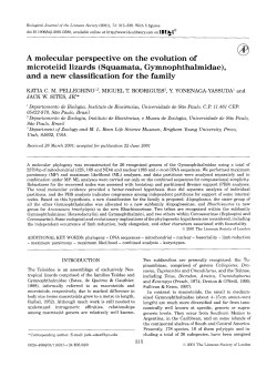 A molecular perspective on the evolution of microteiid