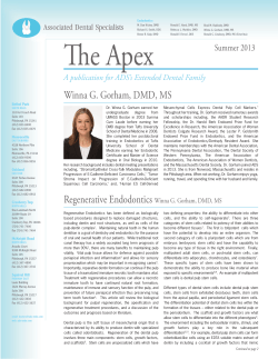 our Summer 2013 Newsletter