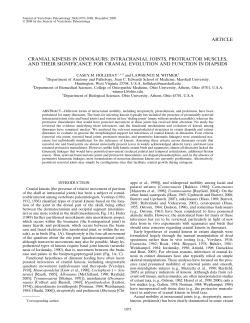 article cranial kinesis in dinosaurs: intracranial joints, protractor