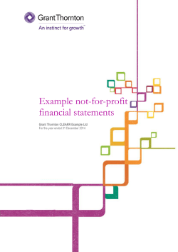 Example NFP Financial Statements