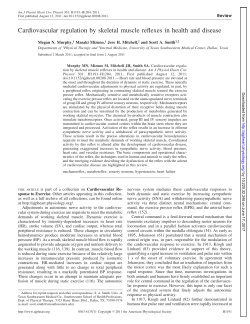 Cardiovascular regulation by skeletal muscle reflexes in health and