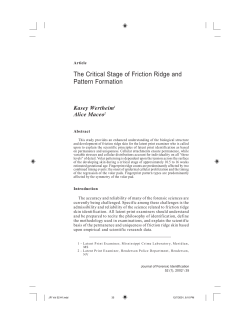 The Critical Stage of Friction Ridge and Pattern