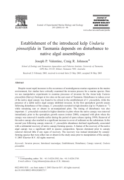 Establishment of the introduced kelp Undaria pinnatifida in