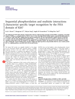 Sequential phosphorylation and multisite interactions characterize