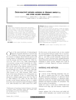 Cross-reactivity between antigens of Anisakis simplex s.l. and other