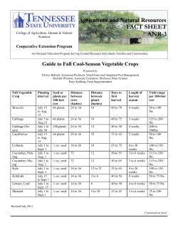 Cool Season Vegetable Planting Guide