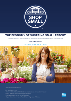 the economy of shopping small report