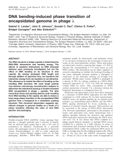 DNA bending-induced phase transition of