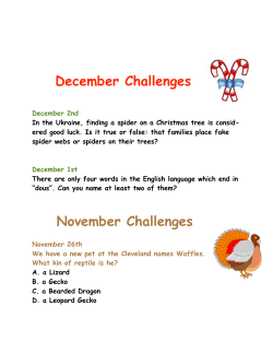 coppolachallenge10 2 - Norwood Public Schools