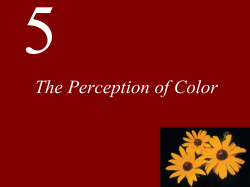 Lecture 5 Color