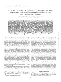 pH of the Cytoplasm and Periplasm of Escherichia coli