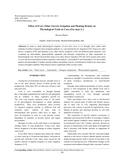 Effect of Every Other Furrow Irrigation and Planting Density on