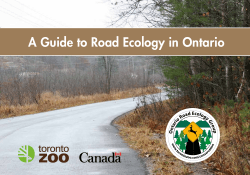 A Guide to Road Ecology in Ontario