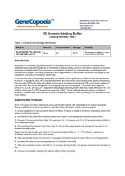 5X Annexin-binding Buffer