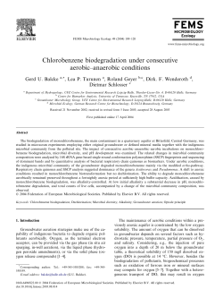 Chlorobenzene biodegradation under consecutive aerobic