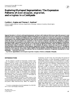 Exploring Myriapod Segmentation: The Expression Patterns of even