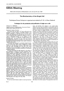 Techniques for the production and purification of single nerve cells