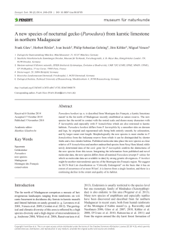 A new species of nocturnal gecko (Paroedura) from karstic