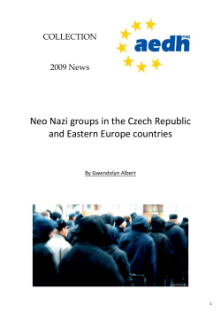 Neo Nazi groups in the Czech Republic and Eastern Europe countries