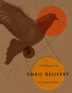 Email Delivery for IT Professionals