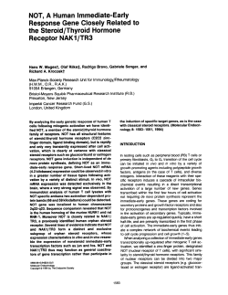 NOT, A Human Immediate-Early Response Gene Closely Related to