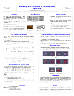 Modelling and simulation of cell membrane dynamics