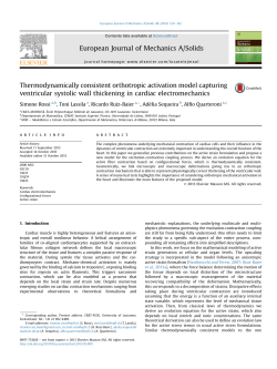 Thermodynamically consistent orthotropic activation model