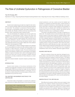 The Role of Urothelial Dysfunction in Pathogenesis of Overactive