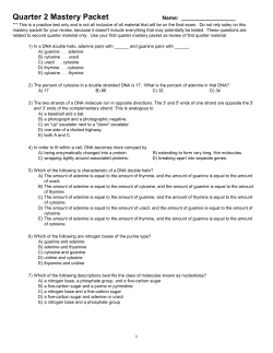 Quarter 2 Mastery Packet