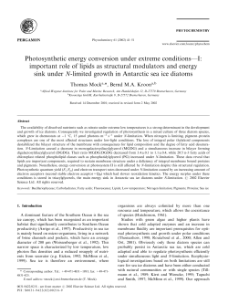 Photosynthetic energy conversion under extreme conditions&mdash;I