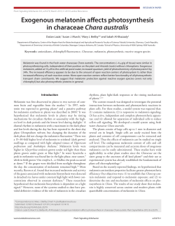 Exogenous melatonin affects photosynthesis in characeae Chara