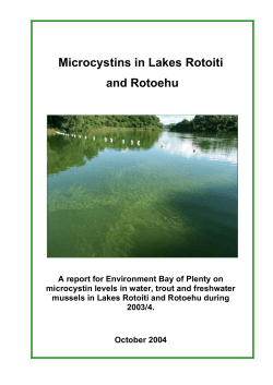 Microcystin accumulation in freshwater organisms in the
