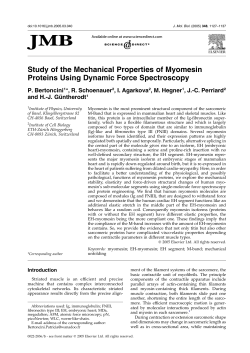 Study of the Mechanical Properties of Myomesin Proteins Using