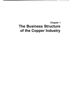 The Business Structure of the Copper Industry