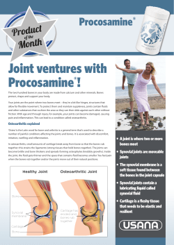 Joint ventures with Procosamine