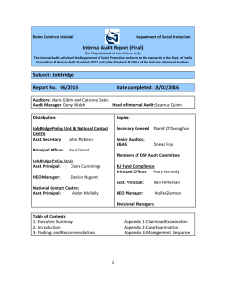 JobBridge Audit Report June 2015