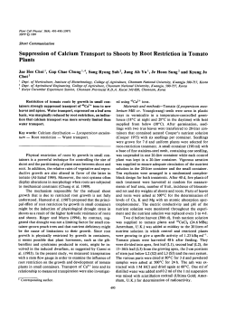 Suppression of Calcium Transport to Shoots by Root Restriction in