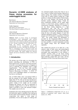 Dynamic LV-SEM analyses of freeze drying