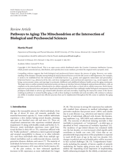 Pathways to Aging: The Mitochondrion at the Intersection of