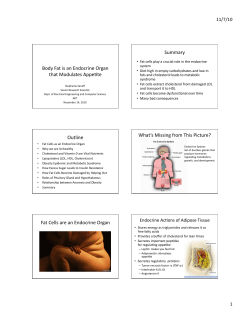 Body Fat is an Endocrine Organ that Modulates AppeIte Summary