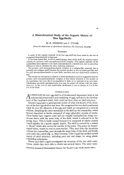 A Histochemical Study of the Organic Matrix of Hen-Egg