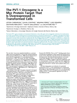 The PVT-1 oncogene is a Myc protein target that is overexpressed in