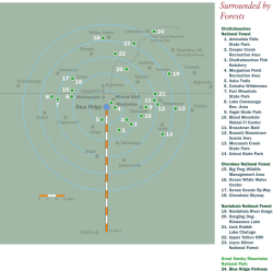 Surrounded By Forests - Fannin County Chamber of Commerce