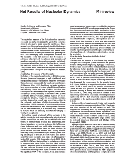 Net Results of Nucleolar Dynamics Minireview