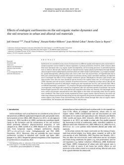 Effects of endogeic earthworms on the soil organic matter dynamics