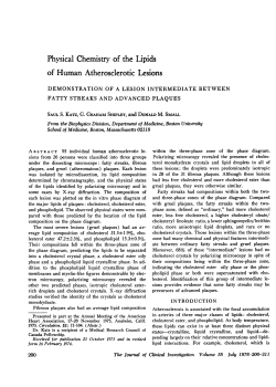 Physical Chemistry of the Lipids