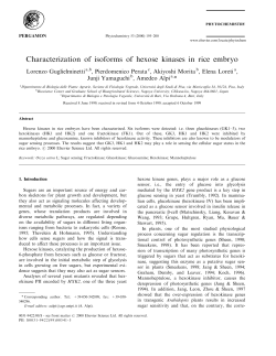 Characterization of isoforms of hexose kinases