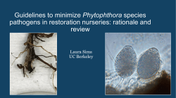 Guidelines to minimize Phytophthora species pathogens in