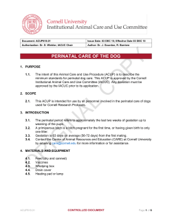 perinatal care of the dog